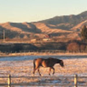 Meet your Posher, Clementine